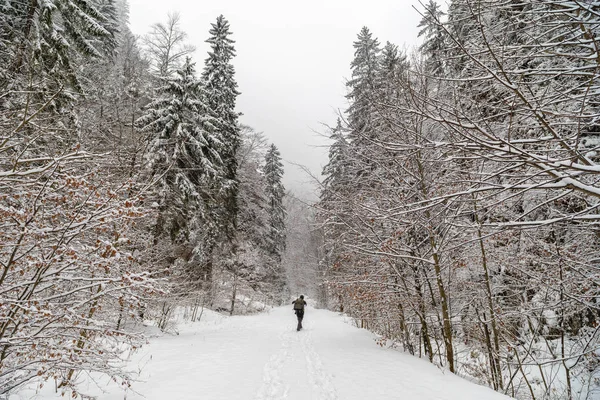 backpacker kış Dağları