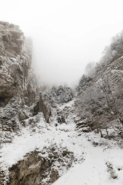 在峡谷中 道路上覆盖着雪的风景 — 图库照片