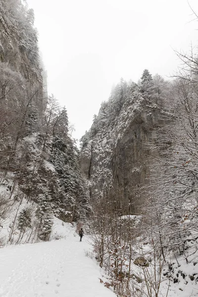 背包客在冬天山 — 图库照片