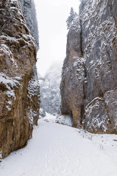 Bir Kanyonda Karla Kaplı Bir Yol Ile Manzara — Stok fotoğraf