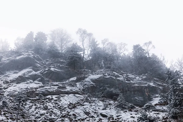 Пейзаж Горах Лесах Зимнее Время — стоковое фото