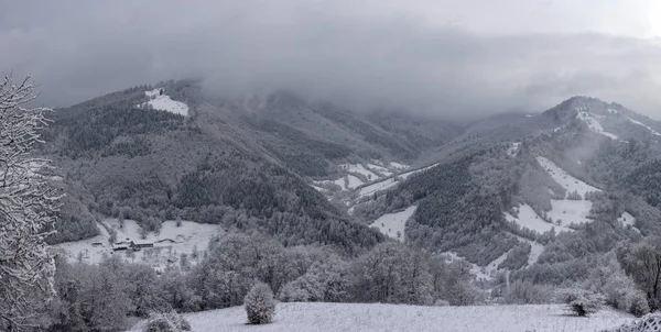 Kış zamanı dağların ve ormanların manzarası.