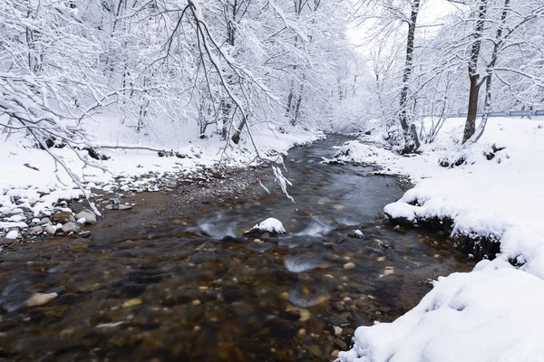 Winterlandschaft Mit Einem Fluss Und Frostigen Bäumen — Stockfoto