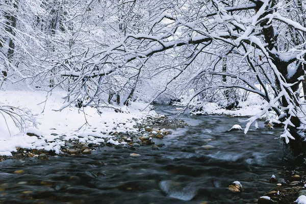 Bir Nehir Soğuk Kış Manzarası — Stok fotoğraf