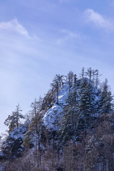 冬季景观在法加拉山区 罗马尼亚 — 图库照片