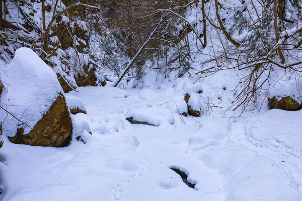 Paysage Hivernal Sur Montagne Dans Vallée Stan Roumanie — Photo