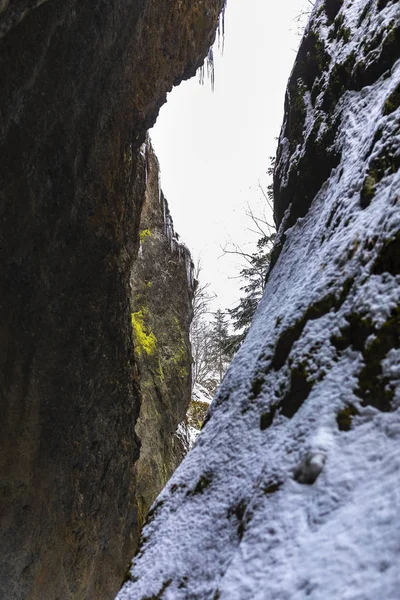 Winter Landscape Mountain Valley Stan Romania — Stock Photo, Image