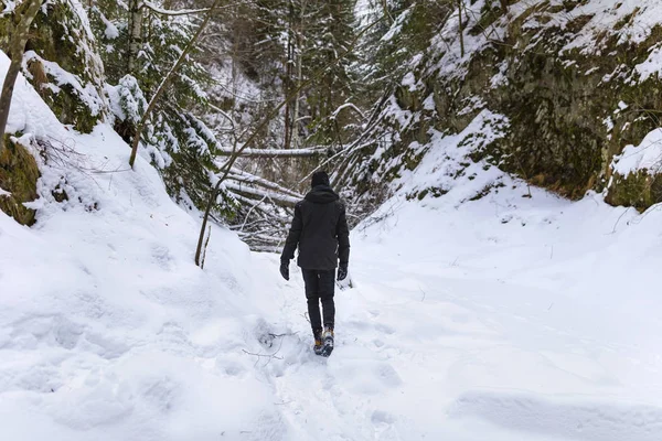 Joven Turista Montaña Durante Invierno —  Fotos de Stock