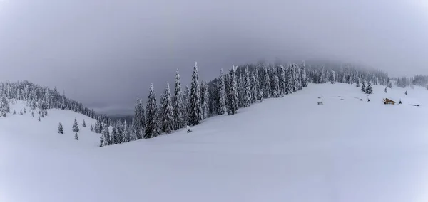 モミの木が雪に覆われた山の風景 — ストック写真