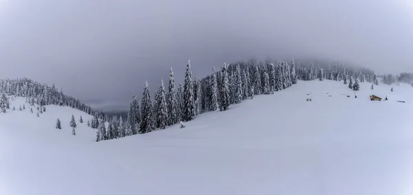 Paisagem Montanhosa Com Abetos Cobertos Neve — Fotografia de Stock