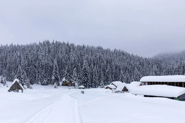 Landschaft Mit Schneebedeckter Straße Winter Durch Einen Kiefernwald — Stockfoto