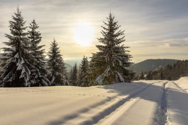 Ayak izleri karla kaplı dağ yolu