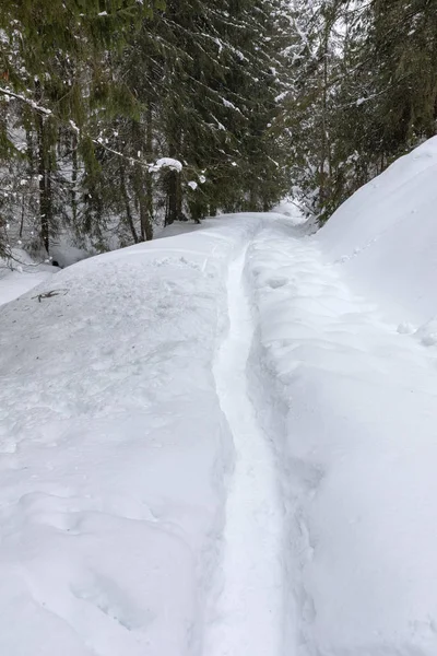 Route Montagne Couverte Neige Avec Des Empreintes Pas — Photo