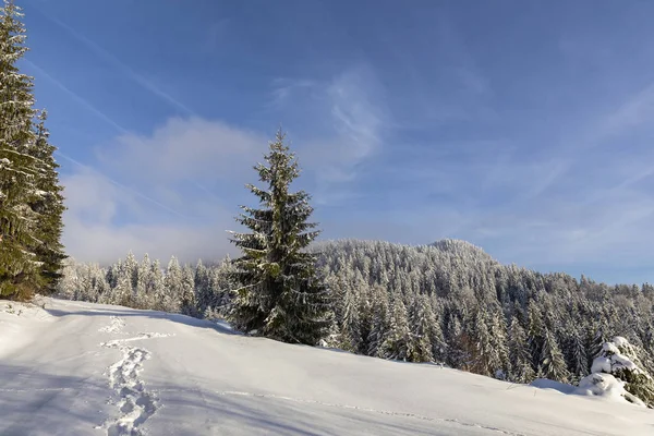 Strada Montagna Coperta Neve Con Impronte — Foto Stock