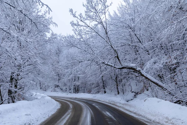 Yolun Kar Arasında Ormandaki Ağaçlar Kışın Kaplı — Stok fotoğraf