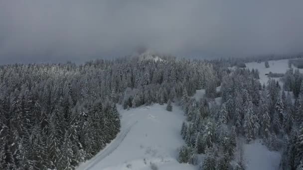 空中镜头冬季与 Detunatele Massif 从阿普塞尼山区 罗马尼亚 — 图库视频影像