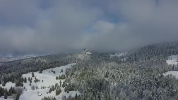 Съёмки Воздуха Зимой Массивом Детунателе Горах Апушень Румыния — стоковое видео