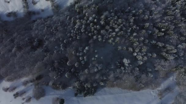 Drone Filmación Árboles Cubiertos Nieve Naturaleza Hermoso Invierno Europa Aerial — Vídeo de stock