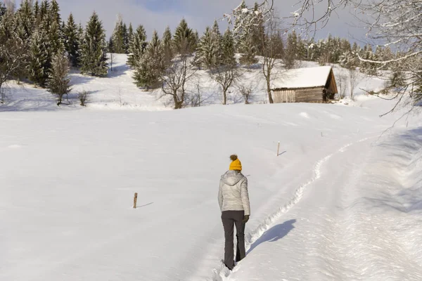 Hapopy Touristin Winterurlaub Den Bergen — Stockfoto