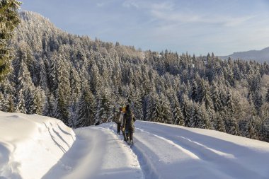 Kış tatilinde dağ yürüyüşünde olan arkadaşlar.