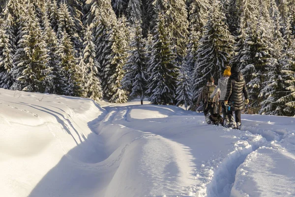 Friends on a mountain hike in the winter holiday