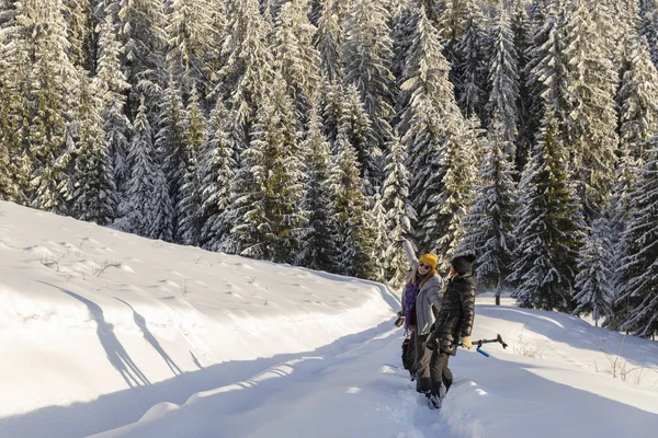 Amigos Uma Caminhada Montanha Nas Férias Inverno — Fotografia de Stock