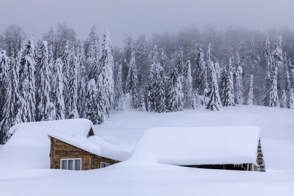Cabin in the woods, a house covered in snow by the pine forest