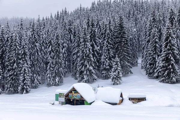 在树林里的小屋 被松树林覆盖的雪覆盖的房子 — 图库照片