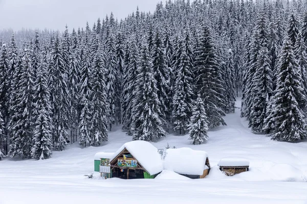 Cabin Woods House Covered Snow Pine Forest — Stock Photo, Image