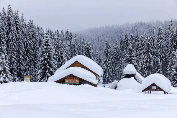 在树林里的小屋 被松树林覆盖的雪覆盖的房子 — 图库照片