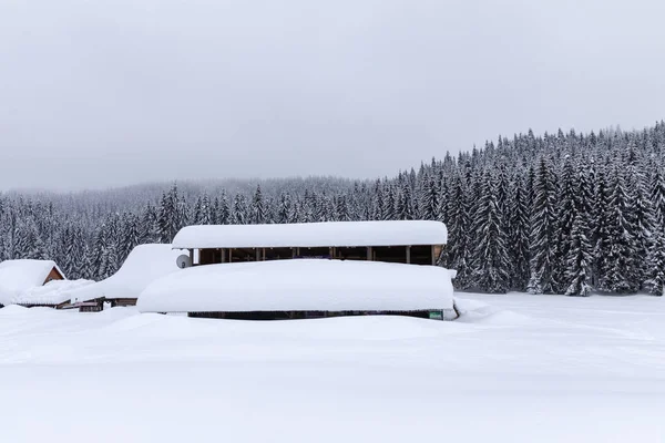 Hütte Wald Ein Schneebedecktes Haus Kiefernwald — Stockfoto