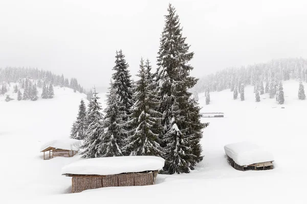 Cabana Floresta Uma Casa Coberta Neve Pela Floresta Pinheiros — Fotografia de Stock