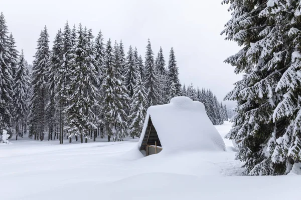 Hütte Wald Ein Schneebedecktes Haus Kiefernwald — Stockfoto