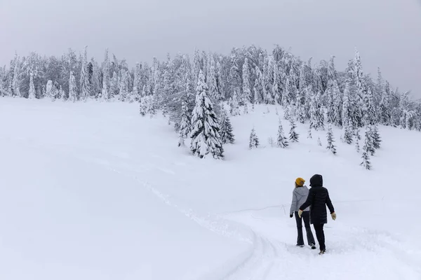 の雪に覆われた道を歩く観光客 — ストック写真