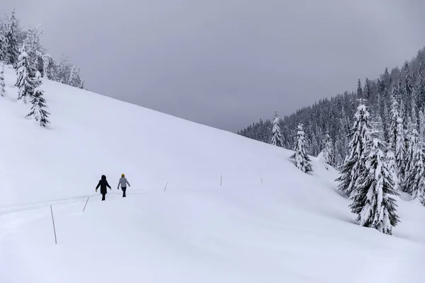 の雪に覆われた道を歩く観光客 — ストック写真