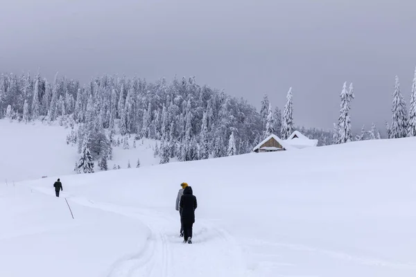 の雪に覆われた道を歩く観光客 — ストック写真