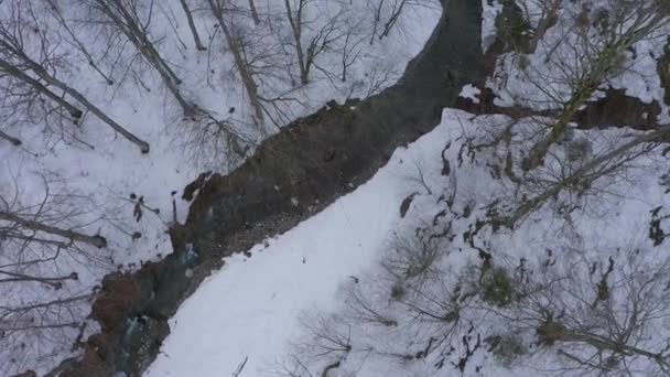 Річка Ліс Безпілотника Взимку — стокове відео
