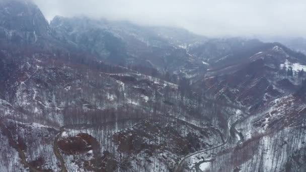 Дрон Літає Над Високогірними Горами Лісами Взимку — стокове відео