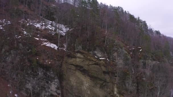 Drone Malejącej Pierwszy Rzut Oka Góra Lasów Zimie — Wideo stockowe