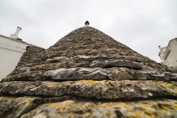 Alberobello Apulia Itália Fevereiro Bela Vista Das Tradicionais Casas Trulli — Fotografia de Stock