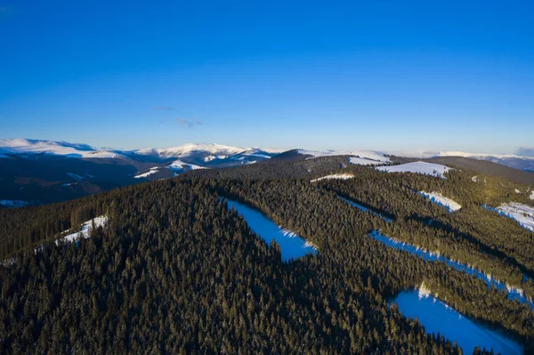 Paisaje invernal con cordillera cubierta de nieve y pino fo — Foto de Stock