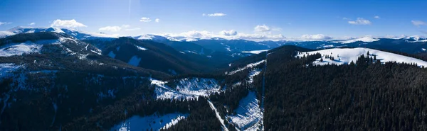 Paisaje invernal con cordillera cubierta de nieve y pino fo — Foto de Stock