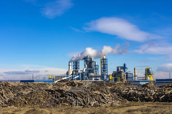 Luftbild einer holzbearbeitenden Anlage mit Stapeln von Rundholz — Stockfoto