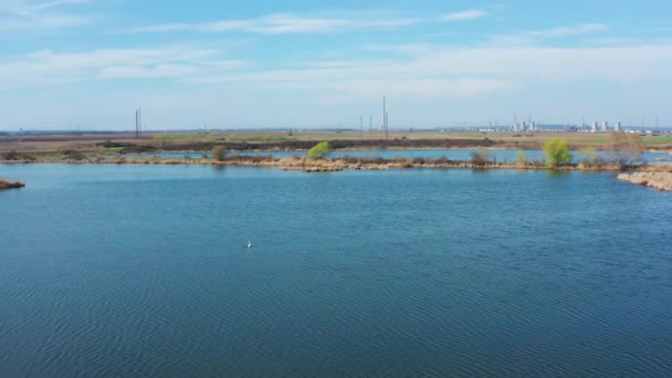 Volando Sobre Pequeño Lago Durante Primavera — Vídeo de stock