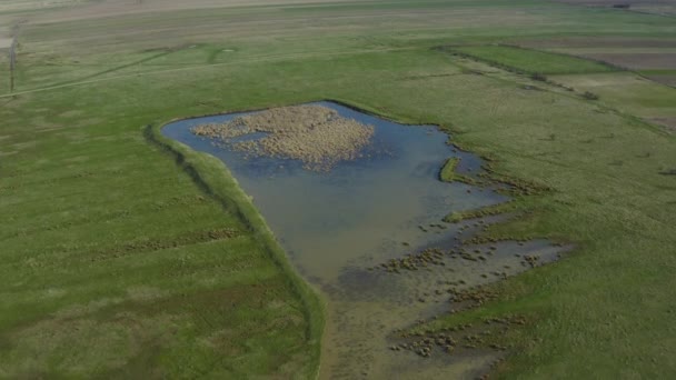 Voando Sobre Pequeno Lago Durante Primavera — Vídeo de Stock