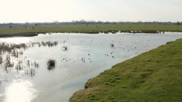 Voando Sobre Pequeno Lago Durante Primavera — Vídeo de Stock