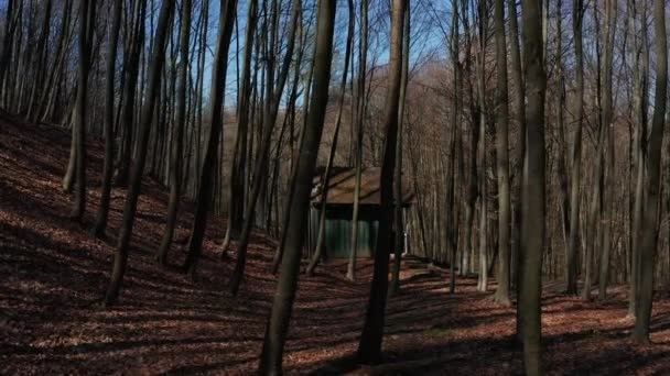 Caminando Bosque Espeluznante Casa Abandonada — Vídeo de stock