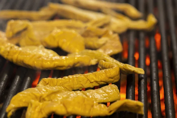 Gegrilde darm varkensvlees op de grill — Stockfoto