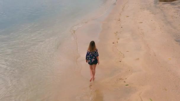 Вид Повітря Дрон Жінкою Пляжі Насолоджується Відпусткою — стокове відео