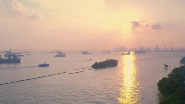 Tiro Aéreo Navios Ancoragem Singapura Pôr Sol Filmagem De Stock Royalty-Free